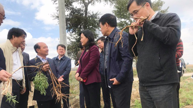 北京盛世龍藥業(yè)積極推動國家中醫(yī)藥管理局科技項目