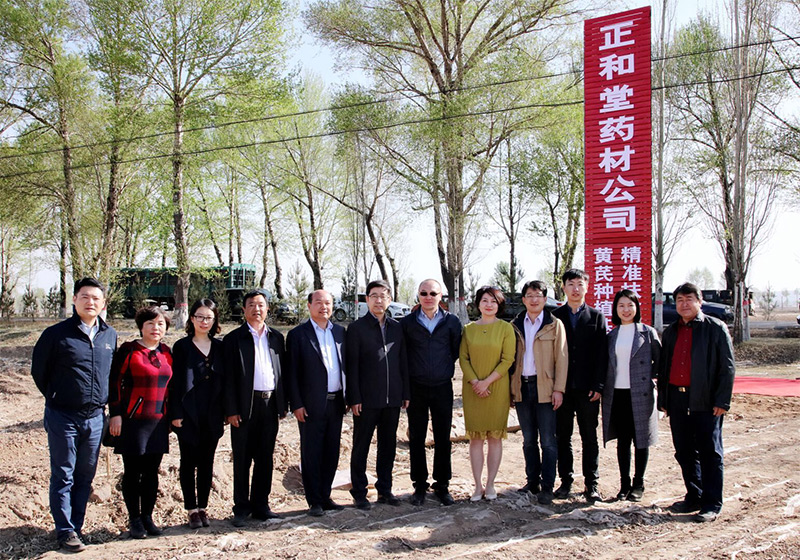 北京盛世龍精準扶貧，共建黃芪種植基地